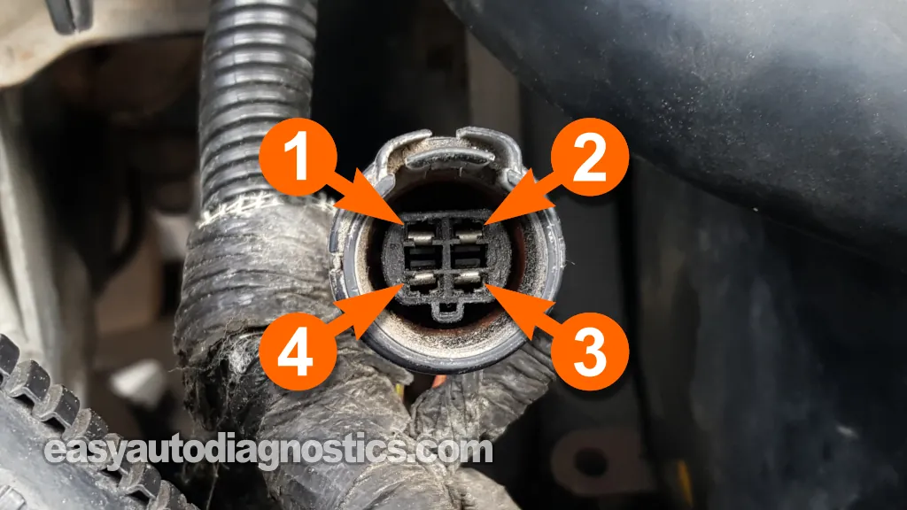 Distributor Terminal Identification. Ignition Distributor System Tests (1988, 1989, 1990, 1991, 1992, 1993, 1994, 1995 3.0L V6 Chrysler, Dodge, Plymouth)