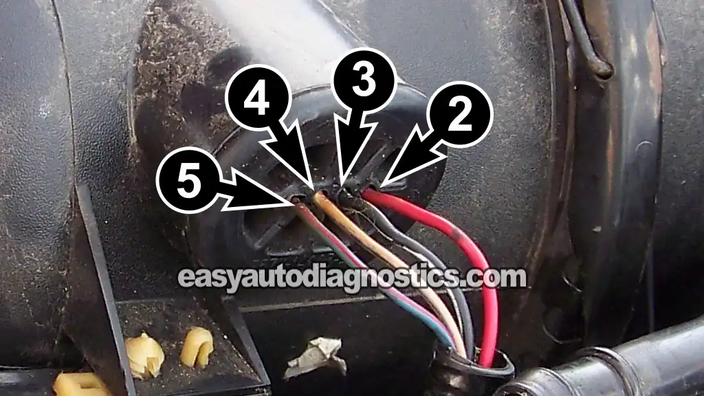 Testing The MAF Signal. How To Test The MAF Sensor (1997, 1998, 1999, 2000, 2001, 2002 2.0L SOHC Ford Escort, Mercury Tracer) Testing The MAF Signal. How To Test The MAF Sensor (1997, 1998, 1999, 2000, 2001, 2002 2.0L SOHC Ford Escort, Mercury Tracer)
