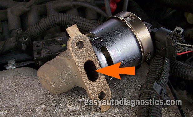 Identifying The EGR Valve