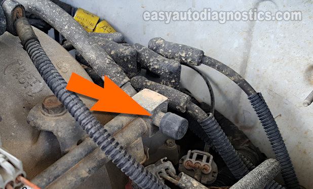 How To Test The Fuel Pump (2000, 2001, 2002, 2003 3.9L V6 Dodge Dakota)