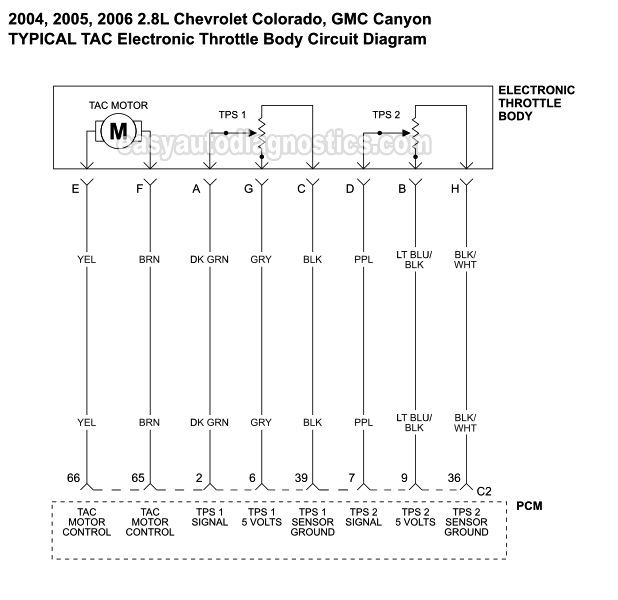 TAC Throttle Body Wiring Diagram (2004-2006 2.8L Chevrolet Colorado, GMC Canyon)