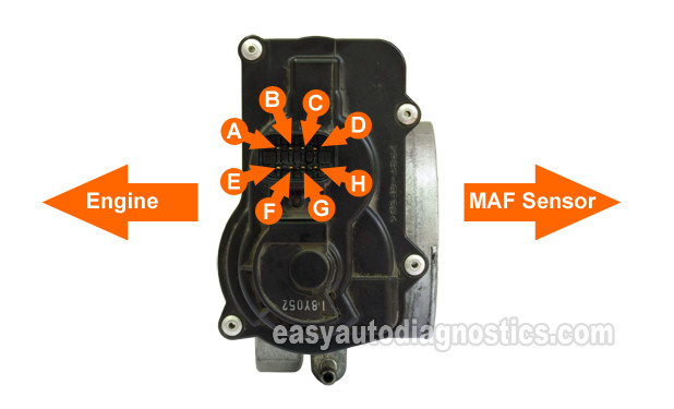 Resistance Specifications Of The TAC Electronic Throttle Body