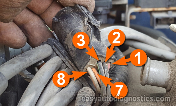 1992-1993 4.9L, 5.0L, And 5.8L PIP Connector Pin-Out (Distributor Connector) 1992-1993 4.9L, 5.0L, And 5.8L PIP Connector Pin-Out (Distributor Connector)